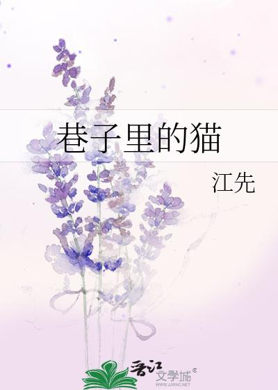巷子裏的貓